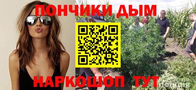 стаф Заводоуковск