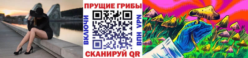 ссылка на мегу маркетплейс  где купить наркоту  Магадан  Псилоцибиновые грибы прущие грибы 