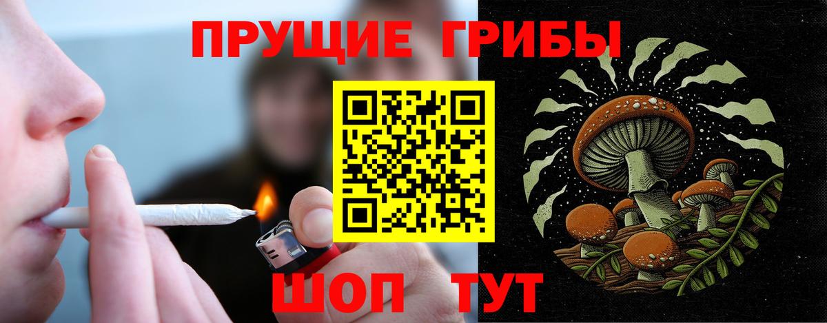 Псилоцибиновые грибы Magic Shrooms Магадан